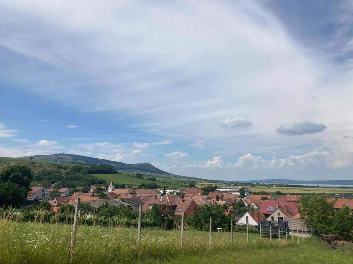 Prazdninovy Dum Na Palave S Vinnym Sklepem Milovice  Luaran gambar